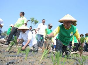 Tanam Padi di Karawang, Ketum PPP Rasakan Beratnya Perjuangan Petani