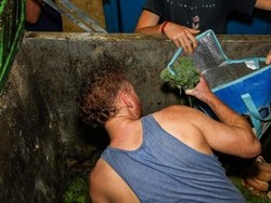 Mengais Tong Sampah Demi Makanan Terjadi Juga di Australia