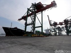 Ekonom Sarankan Cara Ini demi Cegah Impor Ilegal Seperti di Teluk Lamong