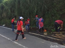 Naik Gunung Zaman Now, Wisatawan Diajak Tanam Edelweis
