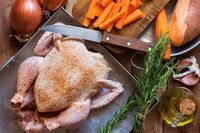 Bunda, Begini Cara Membedakan Ayam Segar dengan Ayam Tiren