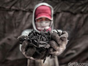 Yuk! Lihat Proses Pembuatan Arang Batok Kelapa