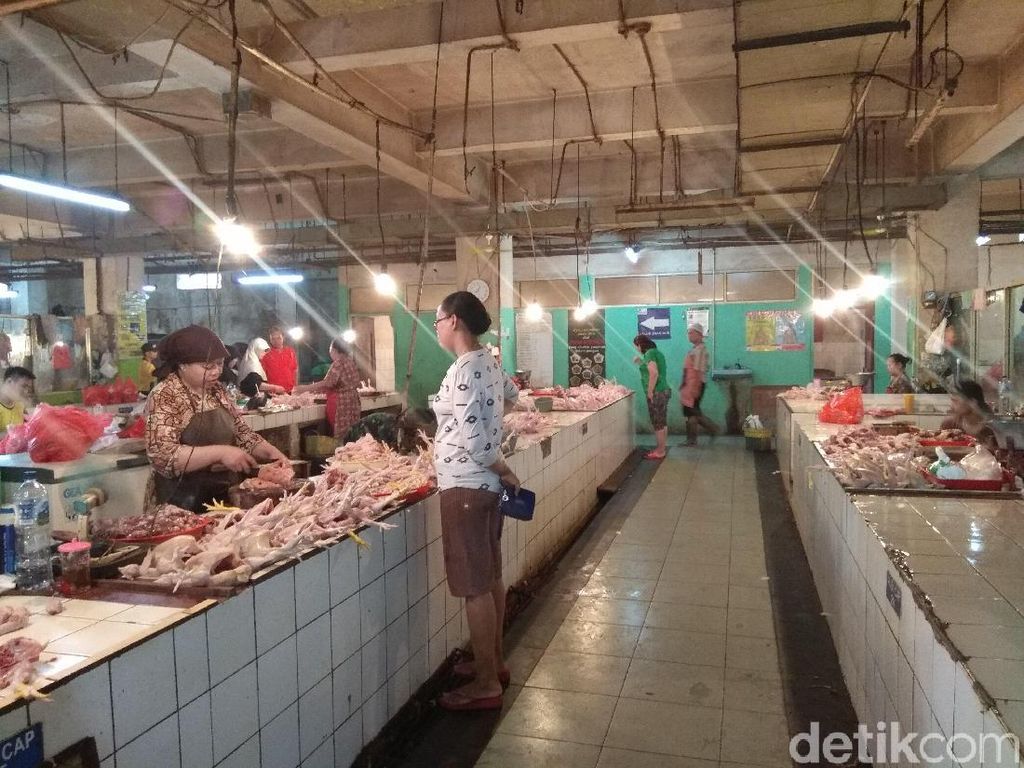 Daging Ayam Terancam Langka, Kok Bisa? Daging Ayam Terancam Langka, Kok Bisa?