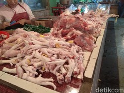 Harga Daging Ayam Meroket, Kemendag Intervensi di Peternak