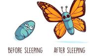 Meme Lucu Before-After di Kehidupan Sehari-hari