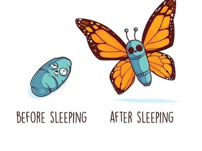 Meme Lucu Before-After di Kehidupan Sehari-hari