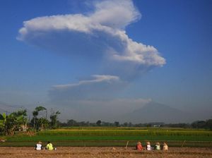 Menjelaskan Erupsi Freatik Gunung Merapi pada Anak
