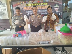 Lagi, Polisi Amankan Ribuan Benur Lobster Siap Ekspor dari Lombok