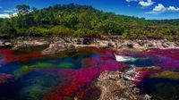 Foto: Sungai 5 Warna Sungguhan Ada