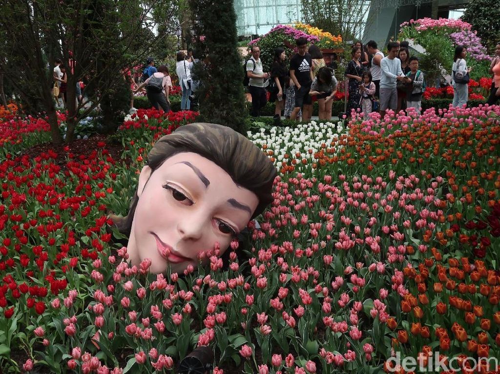 Sudut Paling Romantis di Singapura Sudut Paling Romantis di Singapura