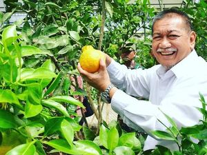 Sering Makan Bareng Warga, Ini Dia 10 Pose Seru Cagub Jabar, Deddy Mizwar