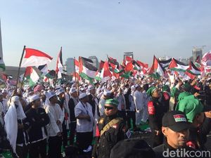 Potret Massa Aksi Bela Palestina Putihkan Monas