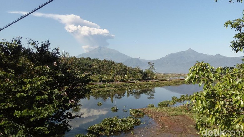 Gunung Merapi mengeluarkan asap pagi tadi (Eko Susanto/detikcom) Gunung Merapi mengeluarkan asap pagi tadi (Eko Susanto/detikcom)