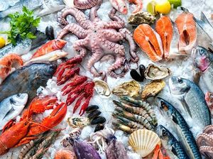 Mau Belanja Seafood Segar? Ini yang Perlu Anda Perhatikan Mau Belanja Seafood Segar? Ini yang Perlu Anda Perhatikan