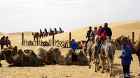Foto: Sensasi Naik Unta di Padang Pasir China