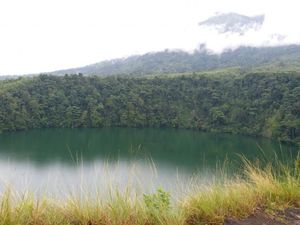 Tragis, Remaja Tewas Diterkam Buaya di Danau Tolire Tragis, Remaja Tewas Diterkam Buaya di Danau Tolire