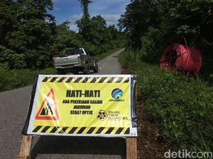 Penjelasan PTT Soal Penembakan 8 Karyawan di Papua Penjelasan PTT Soal Penembakan 8 Karyawan di Papua