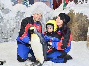 Sharena Delon Bebaskan Anak Jadi Artis Sharena Delon Bebaskan Anak Jadi Artis
