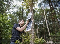 Cegah Penebangan Liar dengan Mesin Pintar Google