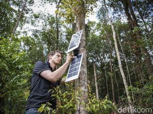 Cegah Penebangan Liar dengan Mesin Pintar Google Cegah Penebangan Liar dengan Mesin Pintar Google