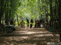 Yang Baru di Maros: Kampung Wisata Jaman Old Bertema Bambu