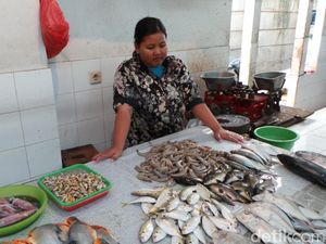 Harga Daging Sapi Diprediksi Naik saat Puasa, Mending Beli Ikan Harga Daging Sapi Diprediksi Naik saat Puasa, Mending Beli Ikan