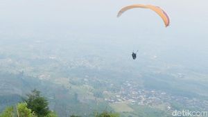 Foto: Bonus Buat Traveler yang Paralayang di Wonosobo
