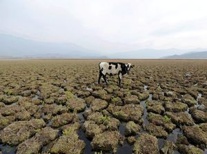 Suhu Semakin Panas, Bumi Terancam Kekeringan?