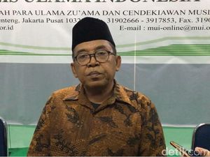 MUI: Kerumunan Jokowi dengan Habib Rizieq Tak Bisa Diperbandingkan MUI: Kerumunan Jokowi dengan Habib Rizieq Tak Bisa Diperbandingkan