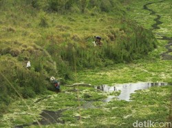 Terkait Savana Sikasur, Pemkab Probolinggo Segera Lapor Kemendagri