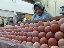 Kemendag Bakal Kumpulkan Peternak dan Pedagang Bahas Telur hingga Ayam