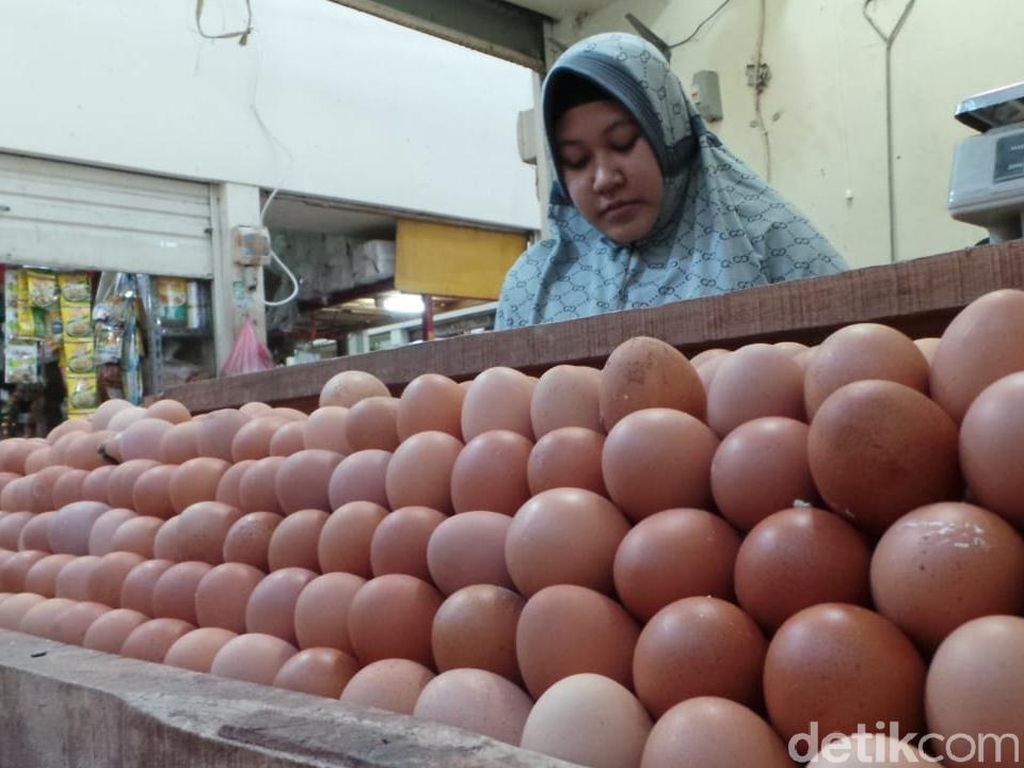 Memasuki Pancaroba, Harga Telur di Kota Bandung Anjlok Memasuki Pancaroba, Harga Telur di Kota Bandung Anjlok