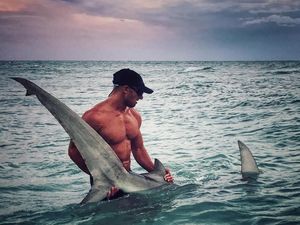 Foto: Kekarnya Pawang Hiu Elliot Sudal, Aquaman di Dunia Nyata