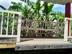 Jejak APBN Puluhan Miliar yang Jadi Halte Bau Pesing di Sulsel