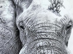 Habiskan Waktu 160 Jam, Seniman Ini Bikin Lukisan Gajah Penuh Dots