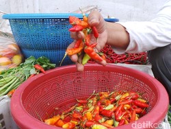 Mentan Klaim Stok Cabai dan Bawang Berlebih Sampai Lebaran