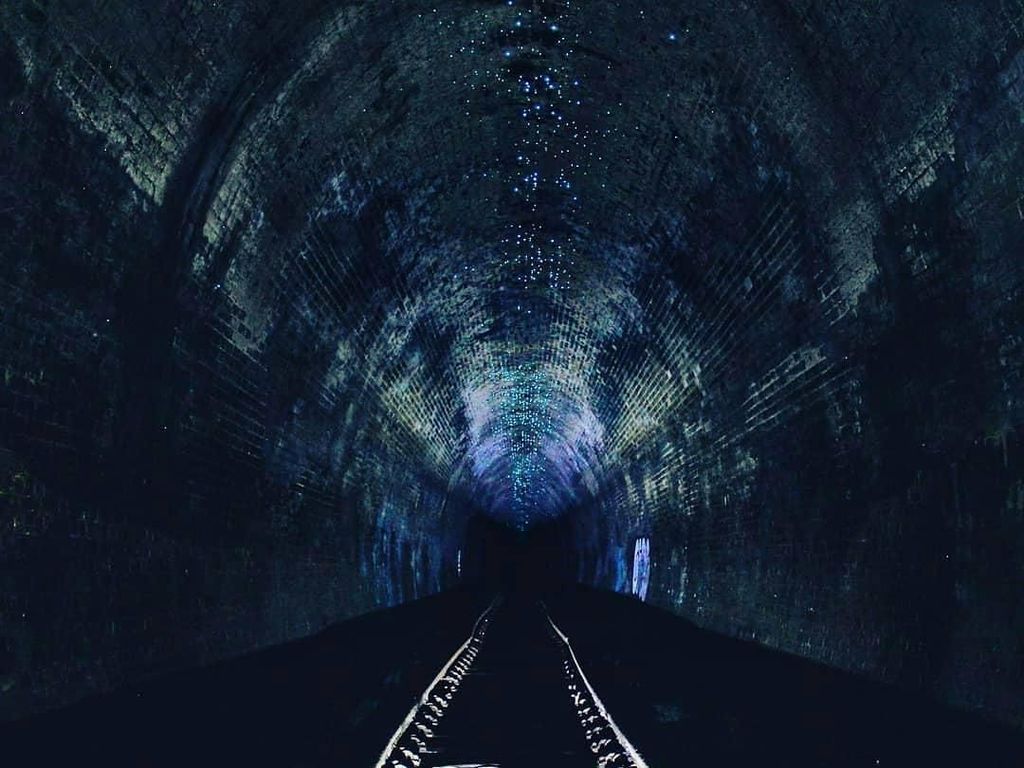 Bagai Langit Malam, Terowongan Ini Bercahaya Biru Karena Cacing