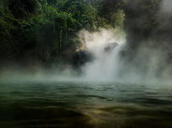 Amazon: Rumah Asli Ikan Arapaima Gigas, Bukan Sungai Brantas
