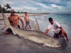 Pawang Hiu yang Bikin Warganet Gagal Fokus dengan Otot Kekarnya