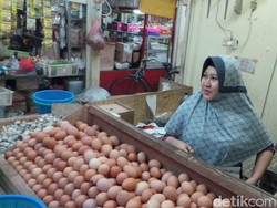 Harga Telur Naik, Sekarang Rp 27.000/Kg