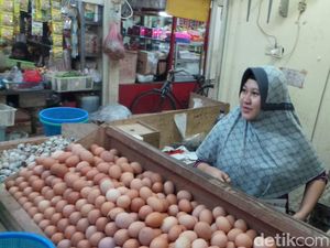 Harga Telur Naik, Sekarang Rp 27.000/Kg Harga Telur Naik, Sekarang Rp 27.000/Kg