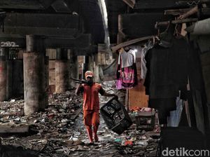 Petugas Berjibaku Bersihkan Sampah di Kolong Tol Tanjung Priok