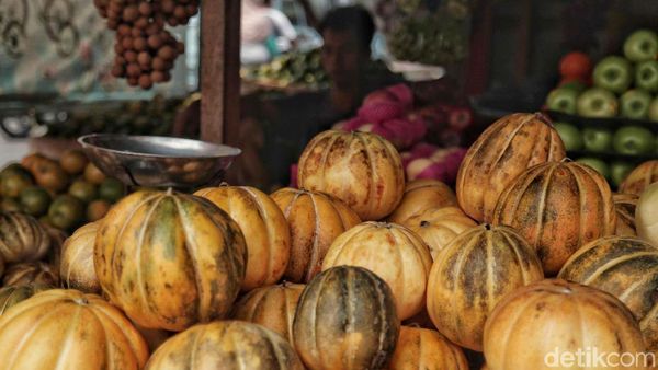 Timun Suri dan Blewah Bersiap Jadi Primadona