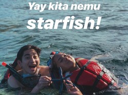 Mengapa Tidak Boleh Angkat Bintang Laut dari Air?