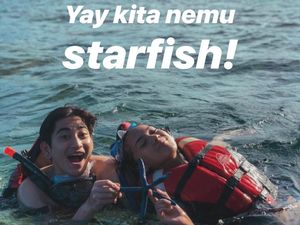 Mengapa Tidak Boleh Angkat Bintang Laut dari Air? Mengapa Tidak Boleh Angkat Bintang Laut dari Air?