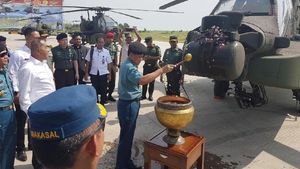 TNI AD Terima Delapan Helikopter Apache