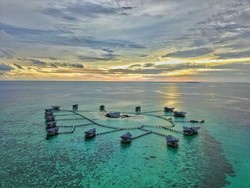 Pulo Cinta, Tempat Snorkeling Anya Gerladine dan Bio One