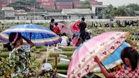TPU Budi Dharma Jakut Masih Ramai Peziarah