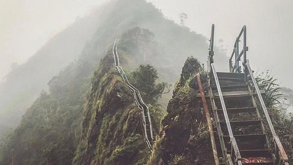 Foto: Tangga Menuju Surga di Hawaii