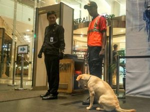 Sisir Mal Kokas, Polisi Pastikan Tak Ada Benda Mencurigakan